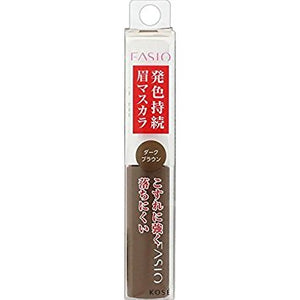 Kose Fasio Color Lasting Eyebrow Mascara BR303