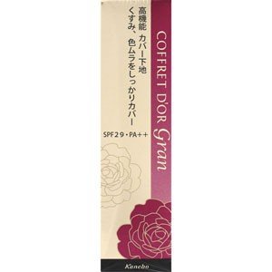 Kanebo Coffret D'or Gran Cover Fit Base UV 25g