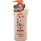 Kracie Ichikami Moist Care Shampoo 480ml