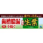 Kobayashi Syouyou 100g